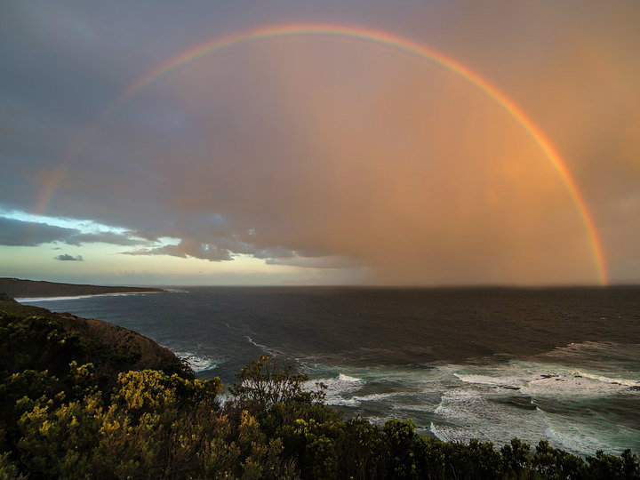 Nel lontano Pacifico: Australia, Nuova Zelanda e Polinesia