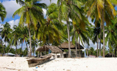 Zanzibar e Pemba