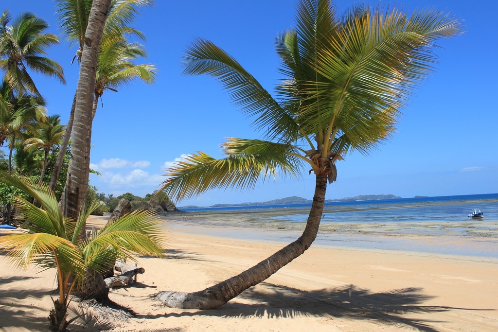 spiaggia caraibica, ispirazione per decidere se sono meglio Seychelles Mauritius Maldive o Madagascar