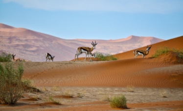 Viaggio di gruppo in Namibia